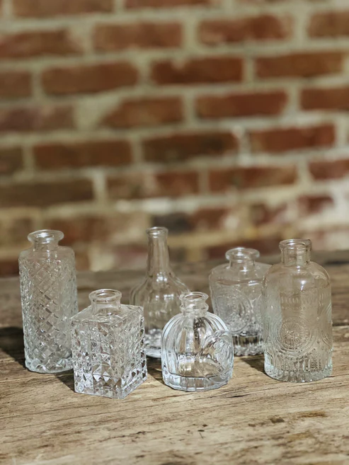 SOLIFLORES TRANSPARENTS