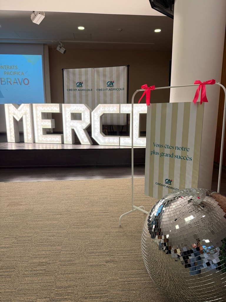 Grande boule à facette