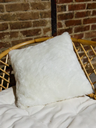 Coussin blanc polaire